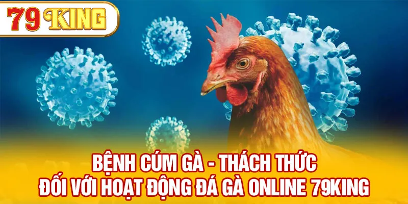 Bệnh Cúm Gà - Thách Thức Đối Với Hoạt Động Đá Gà Online 79KING