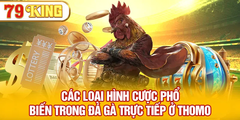 Các loại hình cược phổ biến trong đá gà trực tiếp ở Thomo