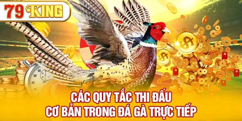 Các quy tắc thi đấu cơ bản trong đá gà trực tiếp