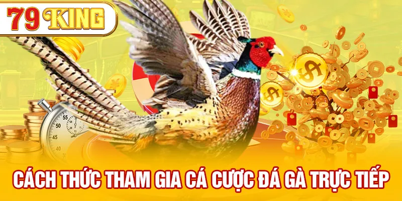 Cách thức tham gia cá cược đá gà trực tiếp