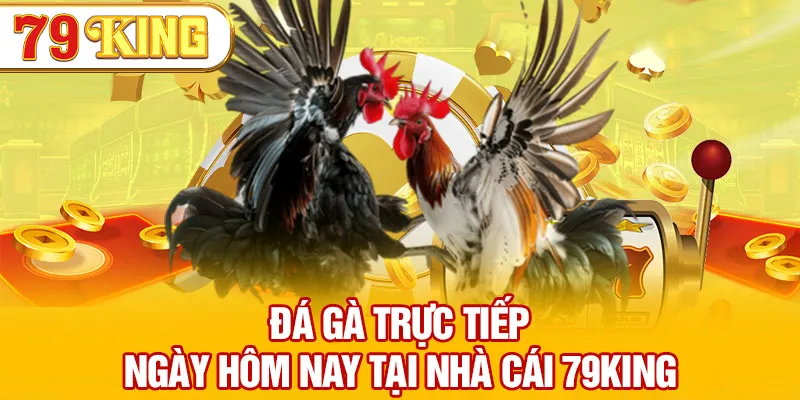 Đá Gà Trực Tiếp Ngày Hôm Nay Tại Nhà Cái 79KING