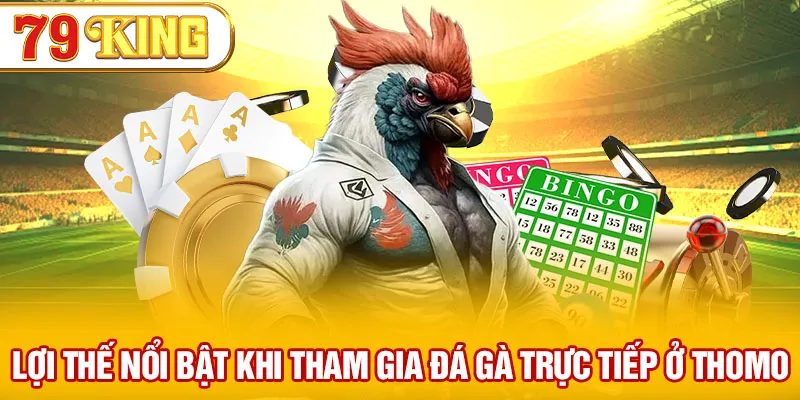 Những Lợi Thế Nổi Bật Đá Gà Trực Tiếp Ở Thomo 79KING