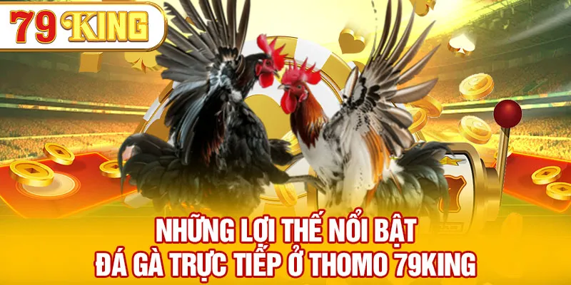 Lợi thế nổi bật khi tham gia đá gà trực tiếp ở Thomo